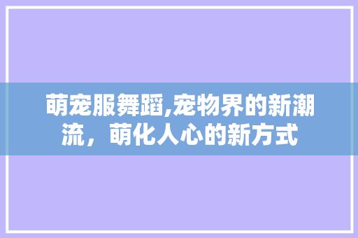萌宠服舞蹈,宠物界的新潮流，萌化人心的新方式
