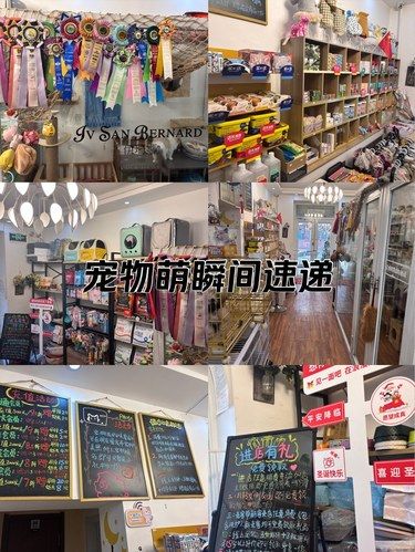 宠物店的暖心事
