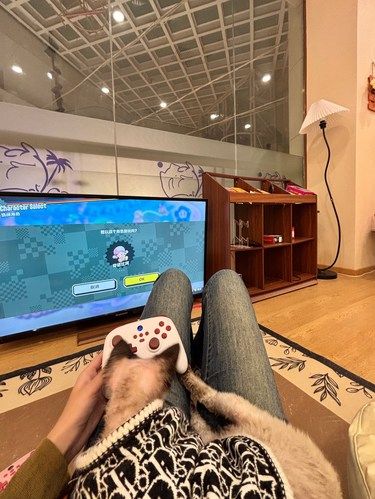 在长沙！后悔怎么才知道这家猫咖ju可爱！