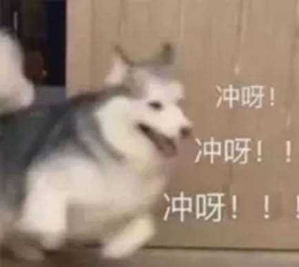 冲呀！冲呀！冲呀！！（汪星人表情包）_汪星人表情 - 发表情 - fabiaoqing.com