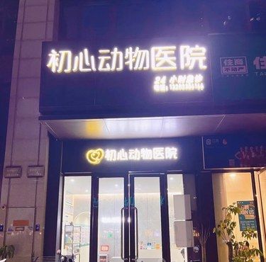 宠物生病别慌张！专业医院来帮忙