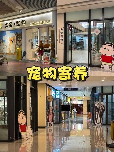 清明假期宠物托管