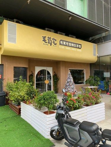 宠物店欢乐多，哈哈哈