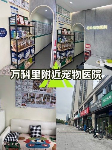宠物医院怎么选