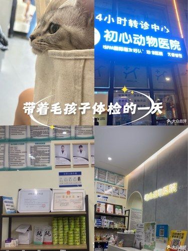 带着毛孩子体检的一天