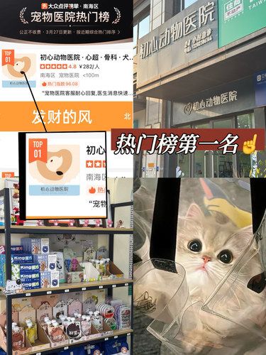 宠物看病贵不贵？医生教我三个判断猫生病小技巧