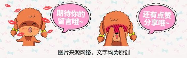 这些时候主人一定想把宠物扔掉，他们真是太皮了！