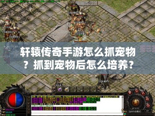 轩辕传奇手游怎么抓宠物？抓到宠物后怎么培养？