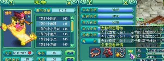 宠物符石