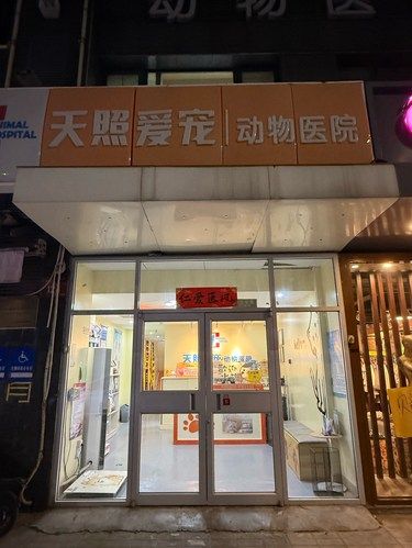 大兴医保报销70%的宝藏宠物医院