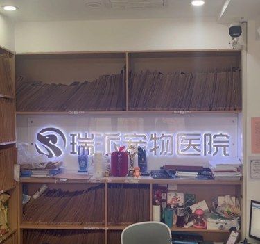 它们的眼神在诉说着痛苦