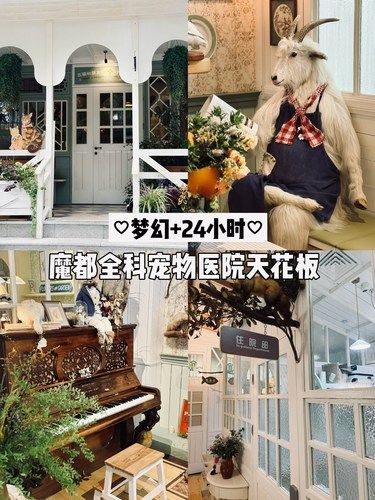 如果宠物医院都长这样！我要改行了