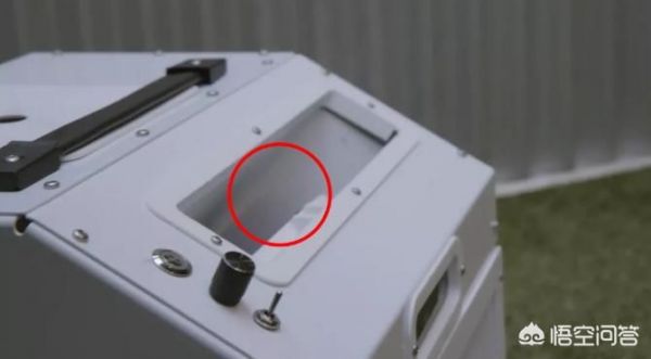 上万的宠物 晶核机器人宠物怎么样？