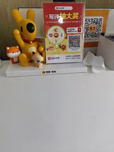 保证用药安全，从狗几做起