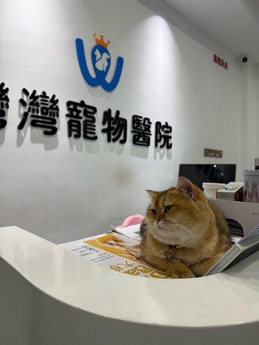 福州宠物友好医院