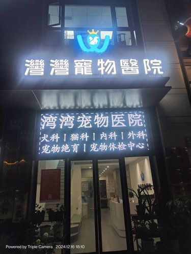 湾湾宠物医院真是专业