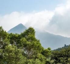 昂坪高原