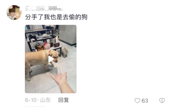 内容图片