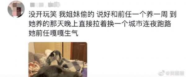 内容图片