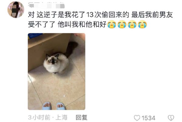 内容图片