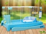 武汉宠物食品与用品服务 实用武汉宠物猫项圈