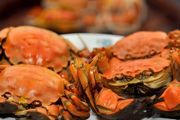 海水的螃蟹怎么养