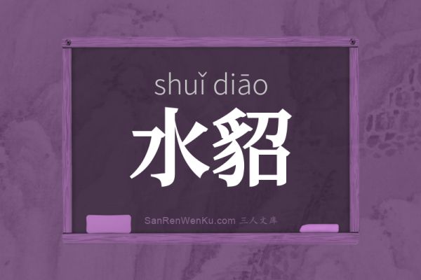 水貂