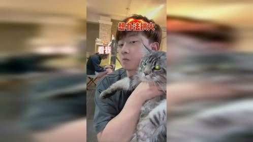 有蛋的缅因到家啦～大家给起个名呗