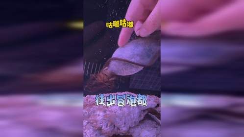 预计孵化11个月的虎鲨卵半路夭折……