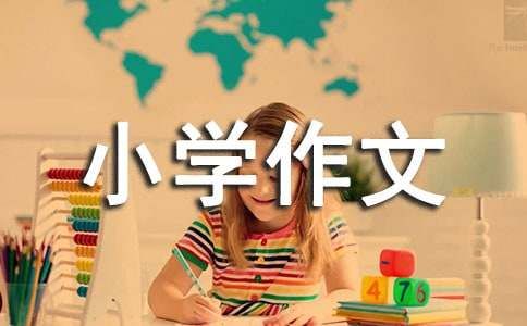 小宠物小学作文15篇
