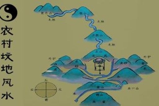 9773宠物店高端英文名字大全 如何给宠物店取高端英文名字