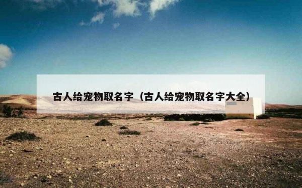 古人给宠物取名字（古人给宠物取名字大全）