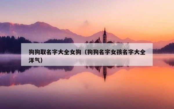 狗狗取名字大全女狗（狗狗名字女孩名字大全洋气）