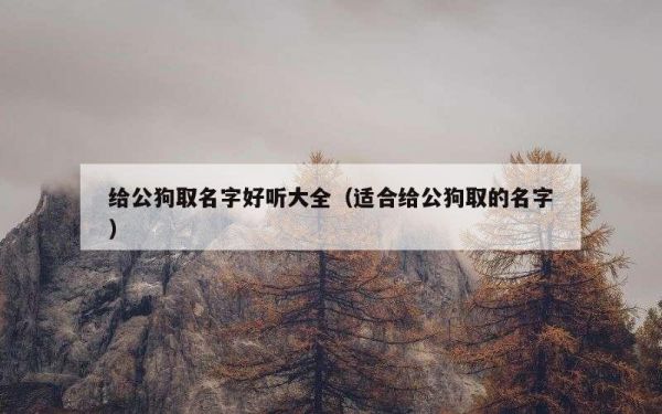 给公狗取名字好听大全（适合给公狗取的名字）