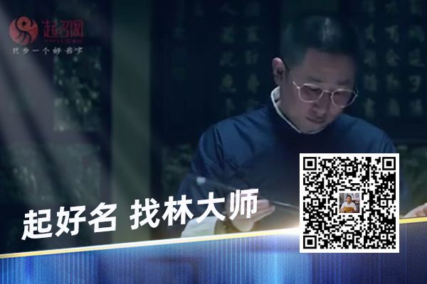 给鸟取名字大全霸气