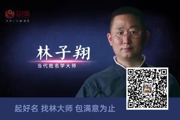 给鸟取名字大全霸气