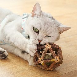 小猫喵喵 猫薄荷球木天蓼磨牙棒小猫零食幼猫咪磨牙棒洁齿自嗨棒 逗猫猫咪的玩具宠物猫薄荷玲珑球