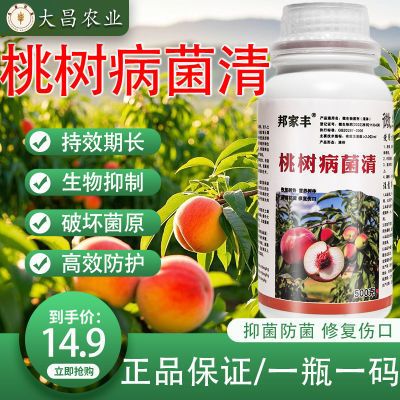 桃树病菌清桃树专用杀菌剂微生物菌剂肥料穿孔病流胶病缩叶病正品