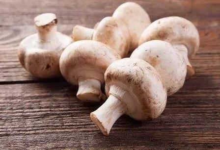 狗狗吃蔬果大有讲究，以下5种蔬果大有讲究，容易吃出问题！