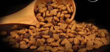 宠物营养:高蛋白食品选什么?