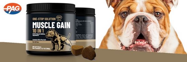 High Protein 10-In-1 Pets Food Supplement Delicious Flavor Chew Bites Pet Care Dog Muscles Builder Supplement Racing Dogs Bites