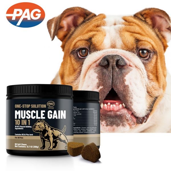 High Protein 10-In-1 Pets Food Supplement Delicious Flavor Chew Bites Pet Care Dog Muscles Builder Supplement Racing Dogs Bites