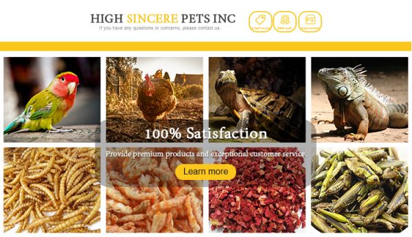 Wholesale Hot Sell High Protein Nourishing Dried Superworms for Animal Food Feed Pet Food