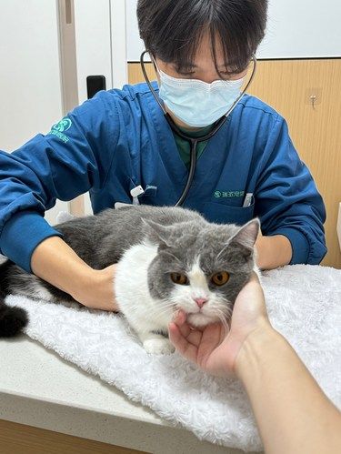 关爱毛孩子！一定要定期给它做体检！