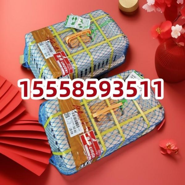 杭州到商丘宠物托运：全程高速-有驾
