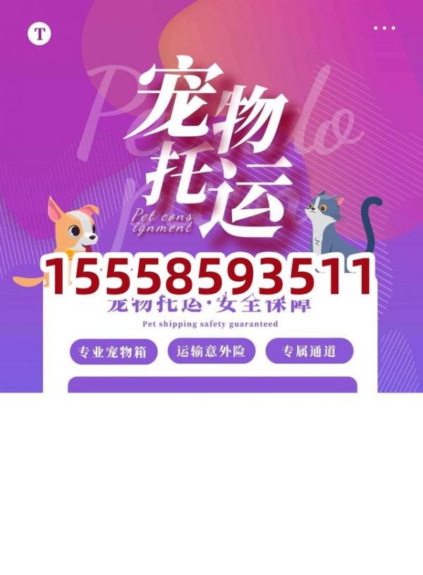 杭州到商丘宠物托运：全程高速-有驾