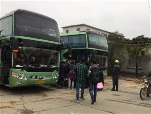 宠物托运）乐清宠物托运、托运全国