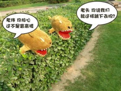 今夏最潮宠物《龙之谷》猎犬带你游中国 