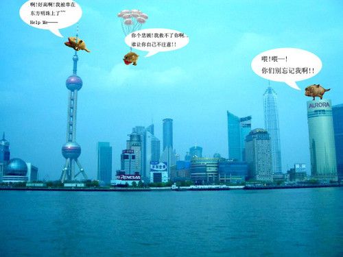今夏最潮宠物《龙之谷》猎犬带你游中国 