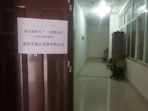 宠物寄存：如何选择合适的宠物寄存服务？国内知名宠物寄存机构排行榜